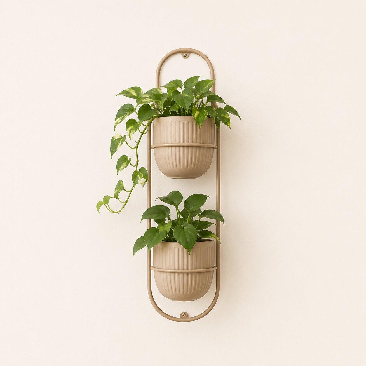 Wall Planters