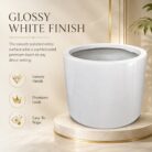 Premium Cylinder Fiberglass Planter Pot Modern White FRP Round Planter for Indoor & Outdoor Decor (3)
