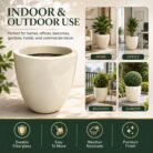 Premium Ivory White Fiberglass Planter Pot Modern Egg Shape FRP Flower Pot for Indoor & Outdoor Decor (11)