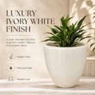 Premium Ivory White Fiberglass Planter Pot Modern Egg Shape FRP Flower Pot for Indoor & Outdoor Decor (4)