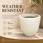 Premium Ivory White Fiberglass Planter Pot Modern Egg Shape FRP Flower Pot for Indoor & Outdoor Decor (5)
