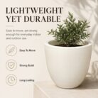 Premium Ivory White Fiberglass Planter Pot Modern Egg Shape FRP Flower Pot for Indoor & Outdoor Decor (7)