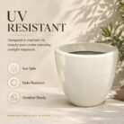 Premium Ivory White Fiberglass Planter Pot Modern Egg Shape FRP Flower Pot for Indoor & Outdoor Decor (9)