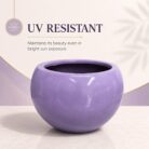 Premium Lavender Purple Fiberglass Planter Pot Luxury Glossy FRP Flower Pot for Indoor & Outdoor Decor (6)