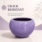Premium Lavender Purple Fiberglass Planter Pot Luxury Glossy FRP Flower Pot for Indoor & Outdoor Decor (7)